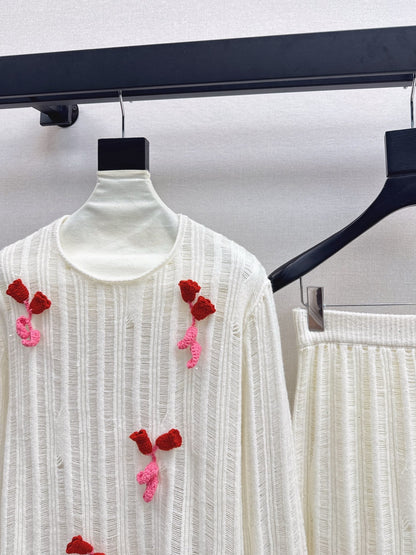 Chan NEW sweater + skirt set