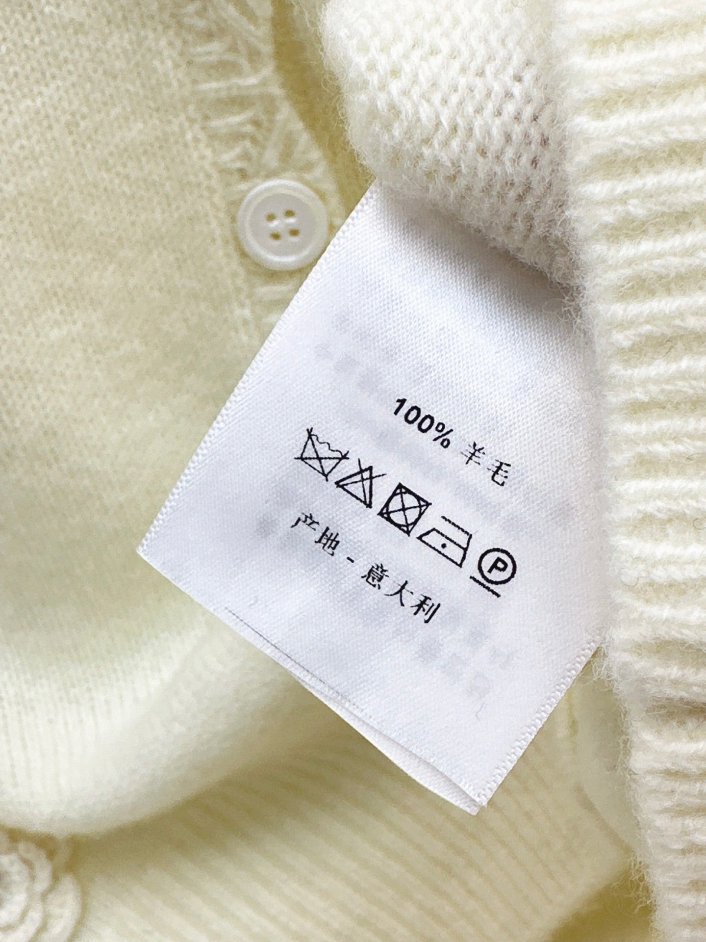 Chan NEW V-neck sweater